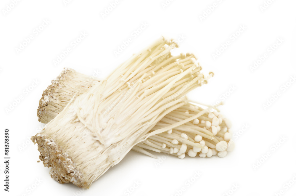 enokitake mushroom isolate on white background enokitake mushroom isolate on white background