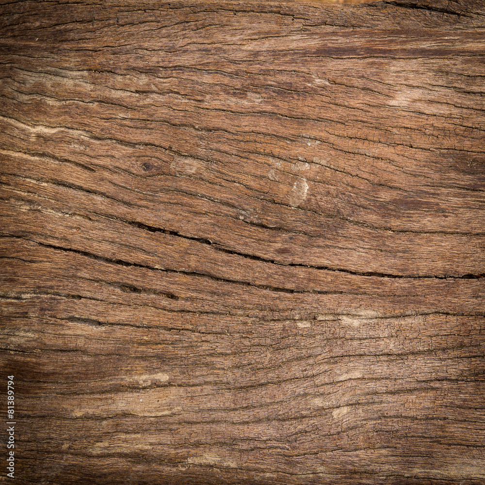 Old wood textures and background
