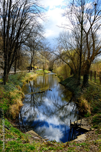 Fototapeta Naklejka Na Ścianę i Meble -  pond with reflection of sky
