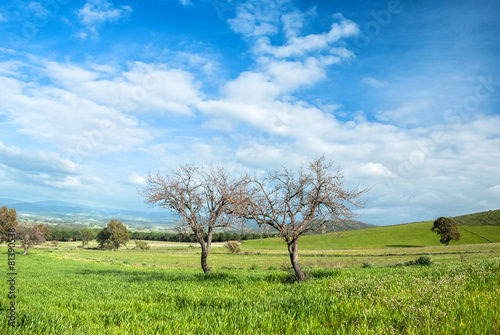 Sardegna, paesaggio di campagna in primavera