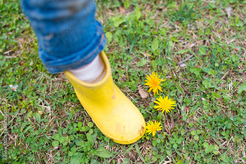 タンポポの花と子供の黄色い長靴