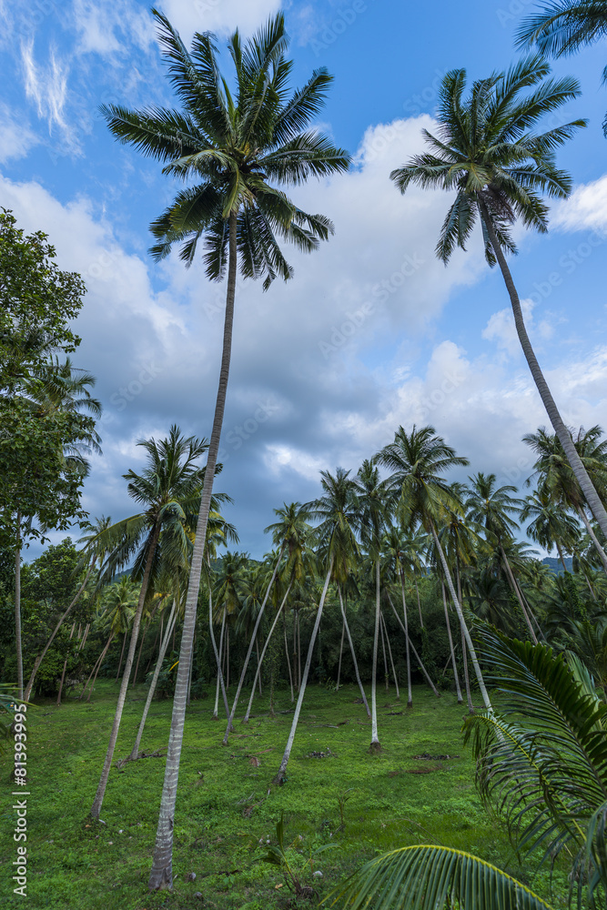 Obraz premium Baan Tai Village in Koh Phangan, Thailand