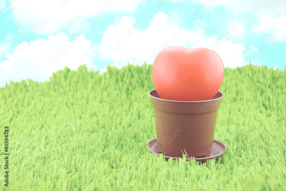 Obraz premium Red heart in brown pot on green grass with sunburst and blue sky