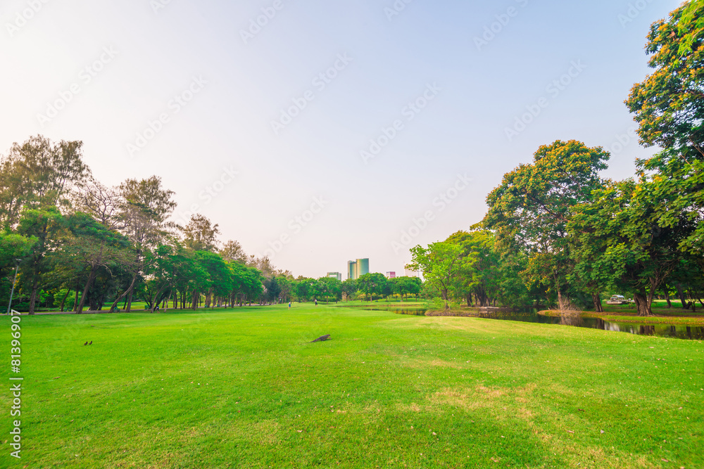 Green lawn in city park