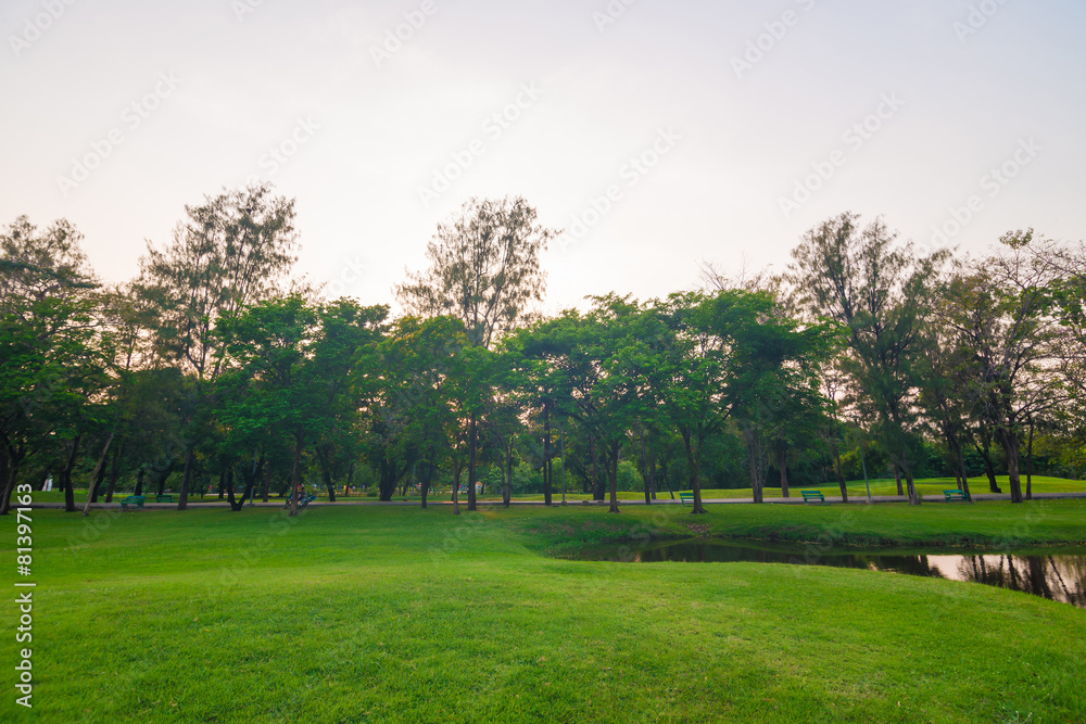 Green field city park, Beautiful lawn Green field city park, Beautiful lawn
