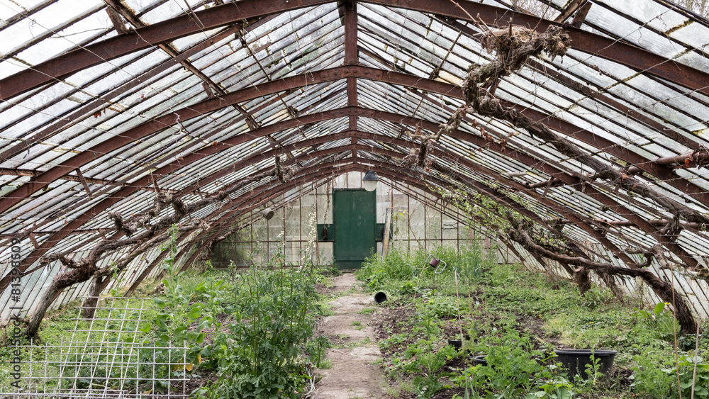 Old abandoned glasshouse Old abandoned glasshouse