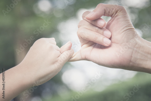A mother and her child hooking their fingers to make a promise, © tatomm