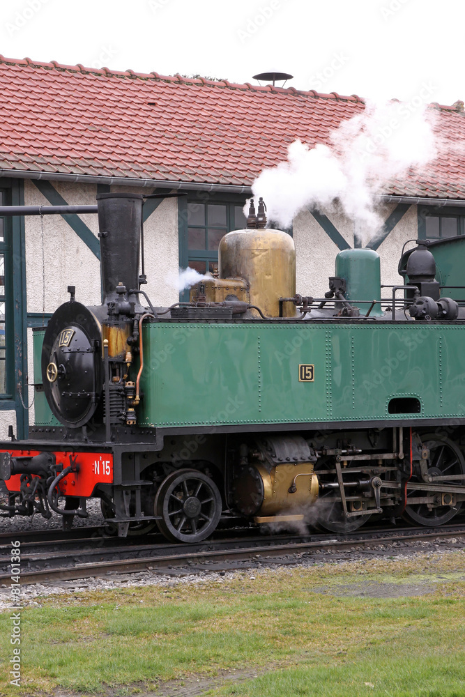 Naklejka premium dampflok in crotoy