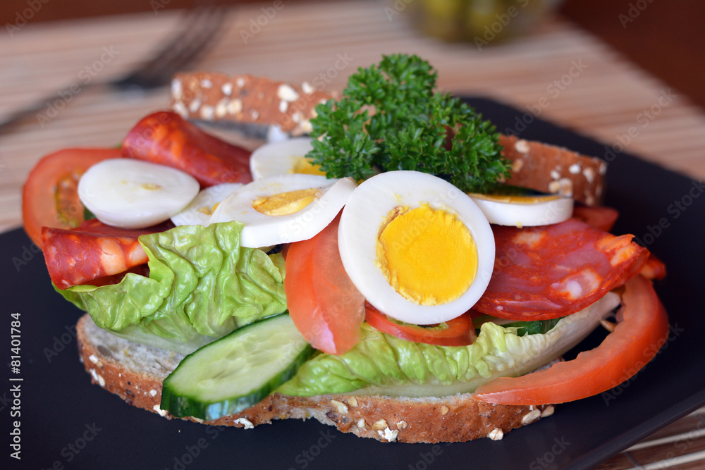 Fresh and healthy sandwich with salami and vegetables on a plate