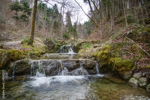 Bach in der Schweiz