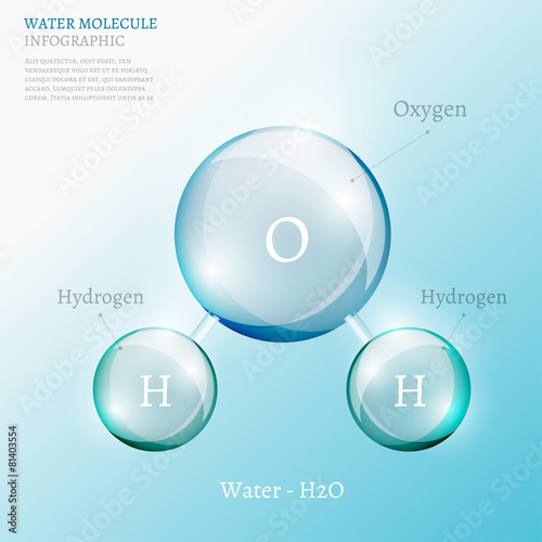 06 Infographics Bio Bubble