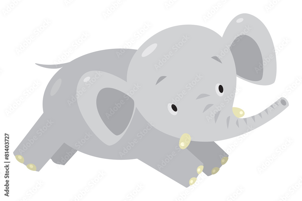 Little funny elephant or jumbo. Little funny elephant or jumbo.