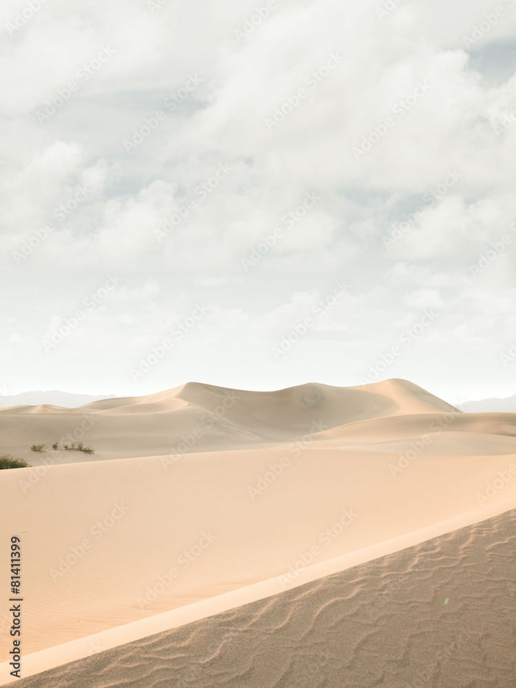 day in desert