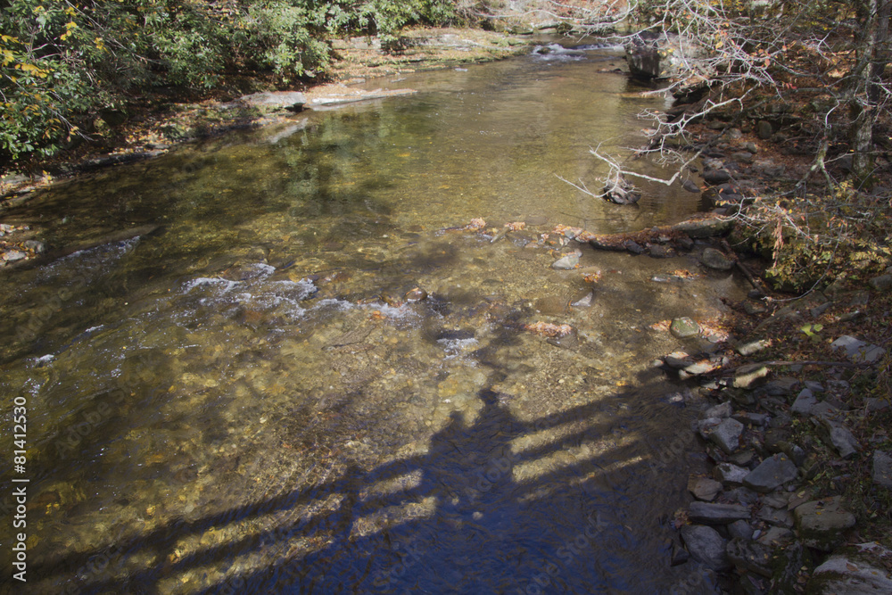 Nature Lovers Standing Side By Side