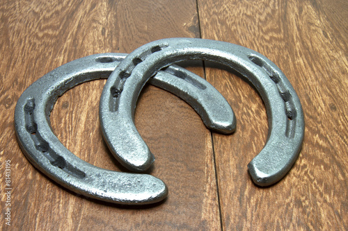 Cast Iron Horseshoes on Barn Wood