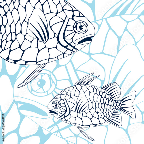 Pinecone fish