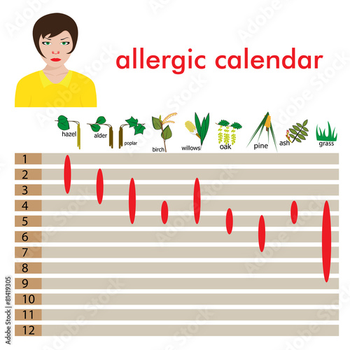 calendar of  allergy seasons. separated on white background.