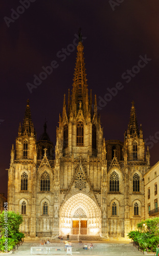 Night view of Barcelona Cathedral