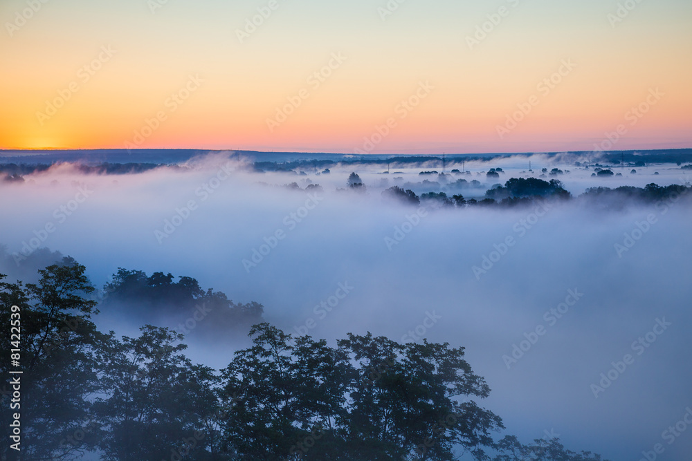 Misty dawn over Valley and the forest