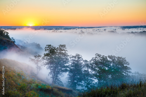 Misty dawn over Valley and the forest