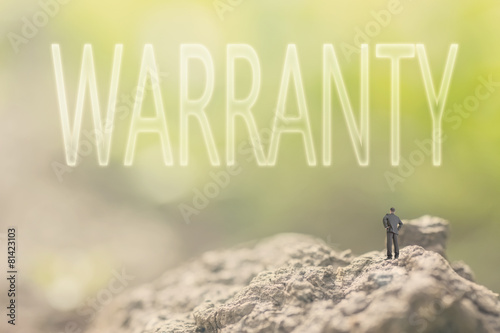 concept of guarantee