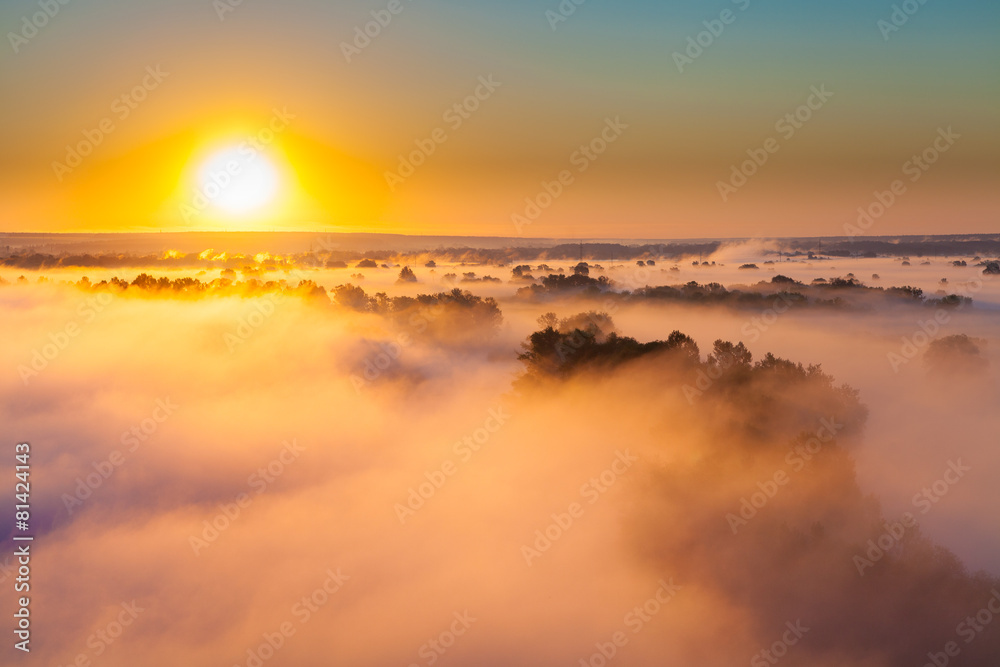 Misty dawn over Valley and the forest