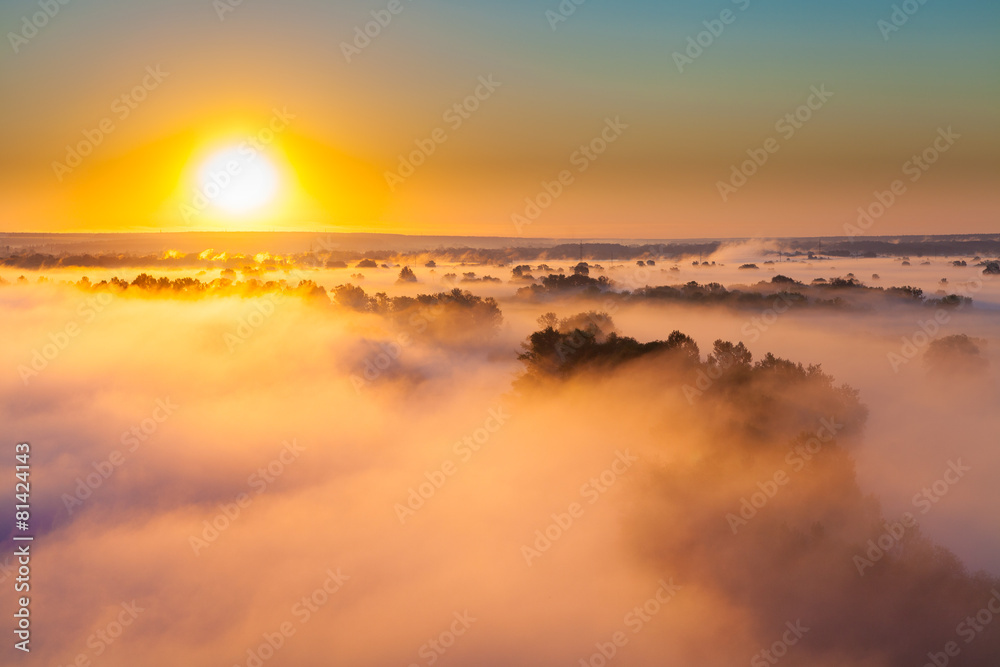 Fototapeta premium Misty dawn over Valley and the forest