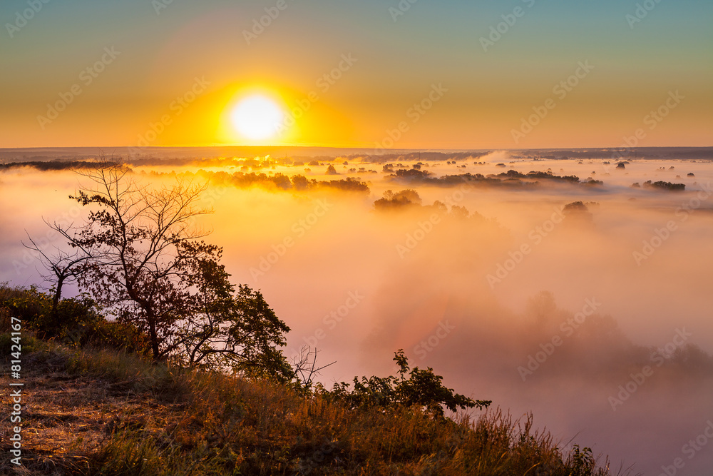 Fototapeta premium Misty dawn over Valley and the forest