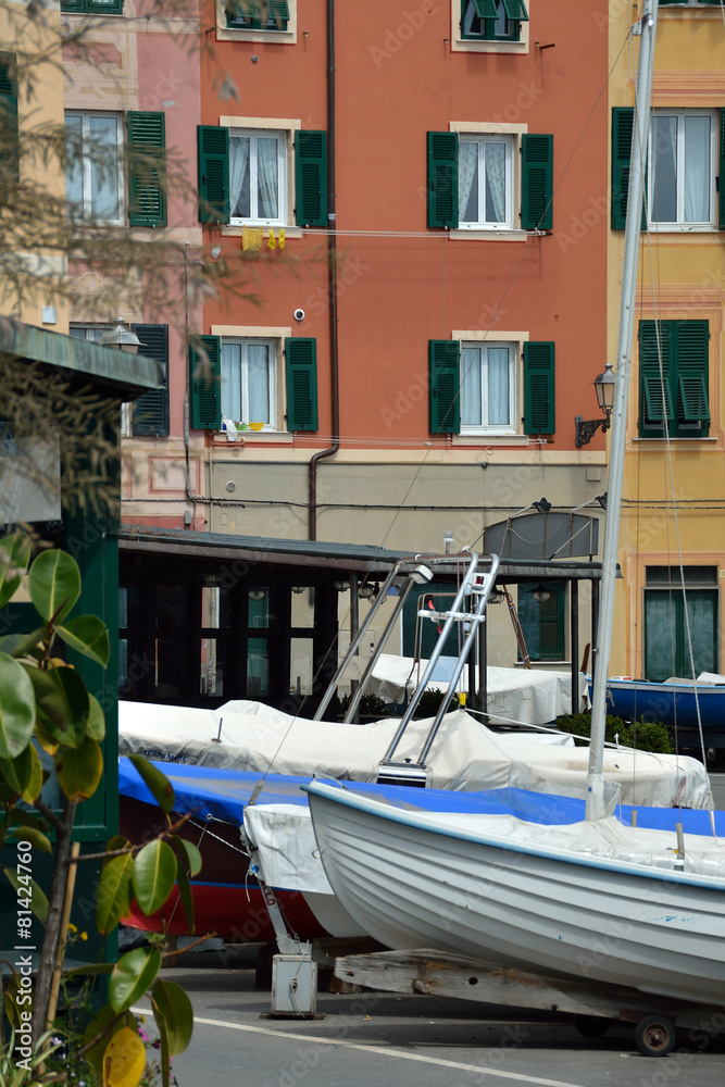 Nervi foto de Stock Adobe Stock