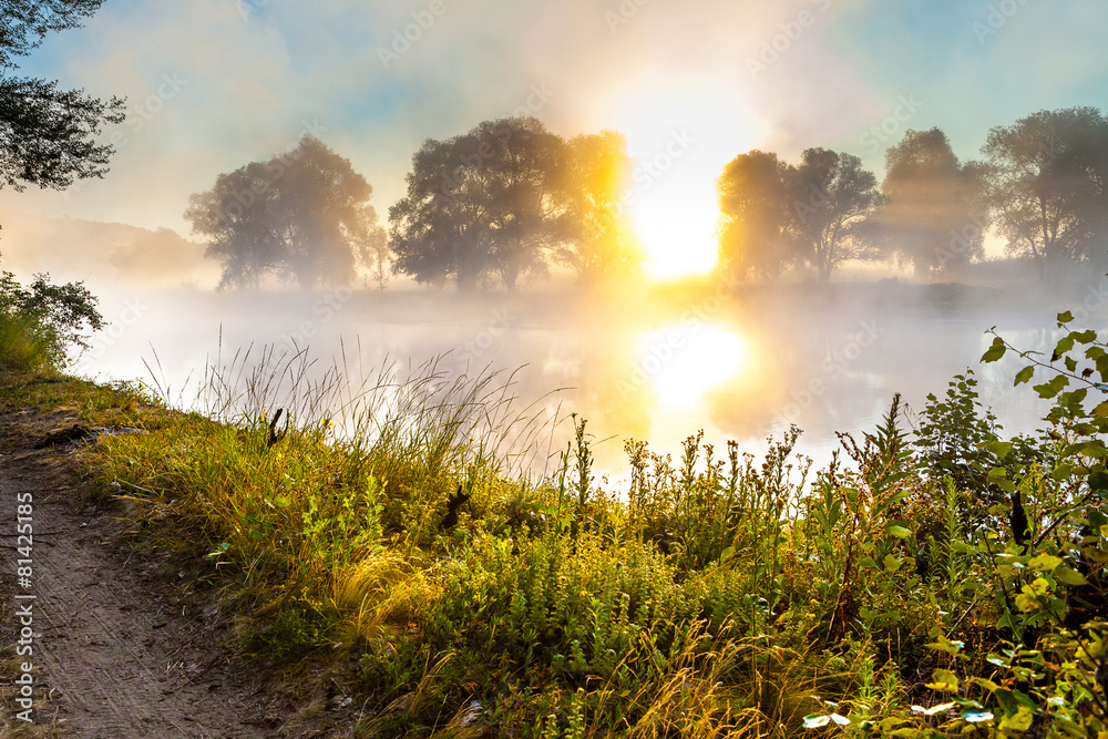 Misty dawn and silhouettes of the trees by a river Misty dawn and silhouettes of the trees by a river