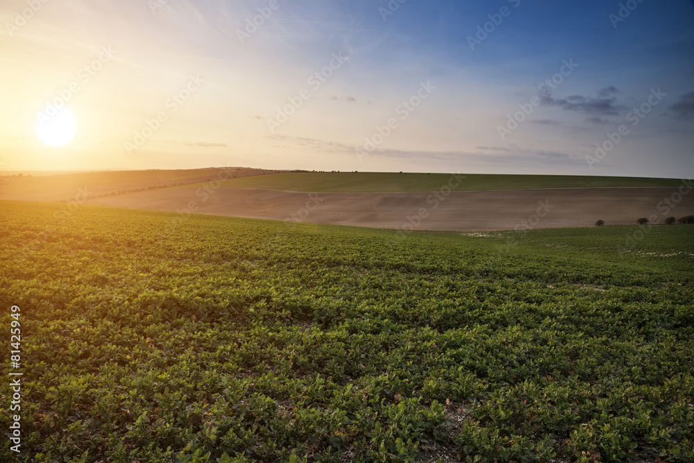 Beautiful Spring evening sunset light over fields landscape on f