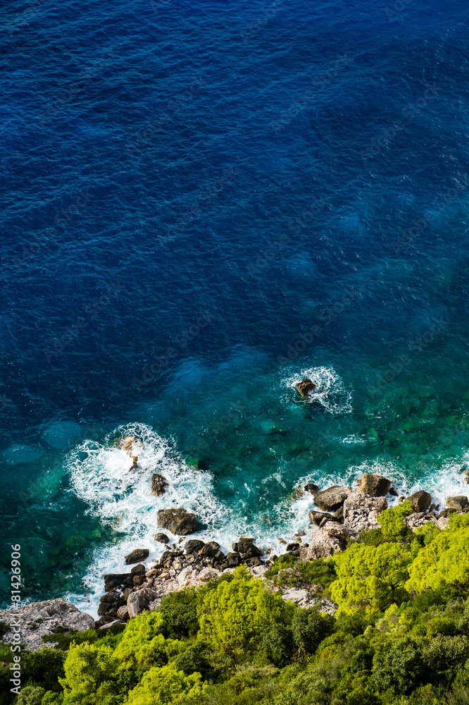 Aerial view of seashore with blue sea and green vegetation