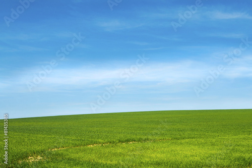 Field of green grass and sky in Slavonia, Croatia