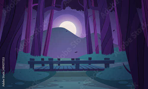 Small wooden bridge in the woods, night landscape.