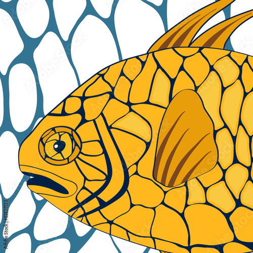 Pinecone fish