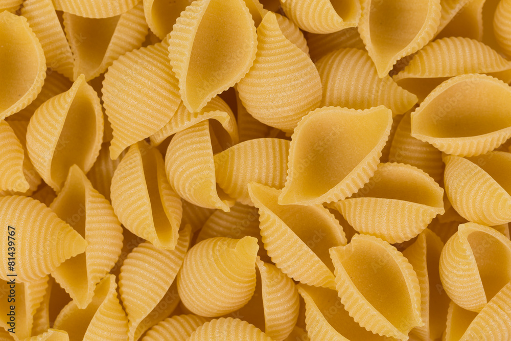 conchiglie pasta shell conchiglie pasta shell