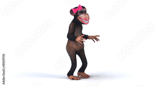 Fun monkey