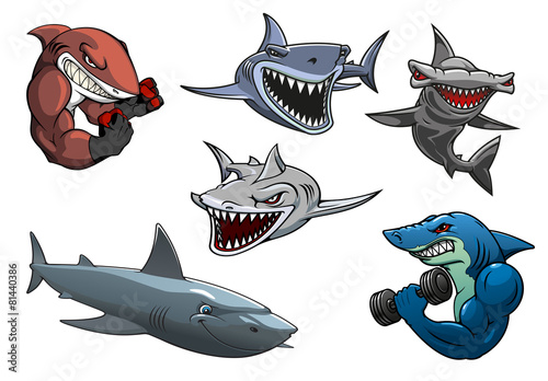 Angry grey, white and hammerhead sharks cartoon characters