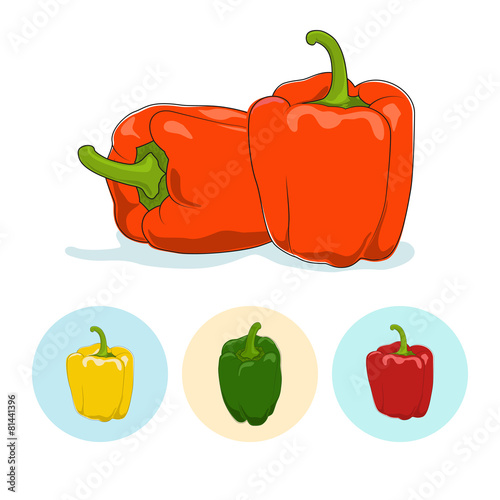 Icons bell pepper,sweet pepper or capsicum