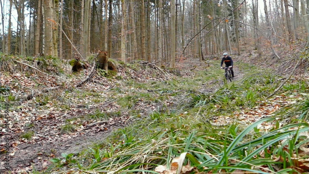 Mountainbiker fährt bergab im Wald auf einem Singletrail Mountainbiker fährt bergab im Wald auf einem Singletrail
