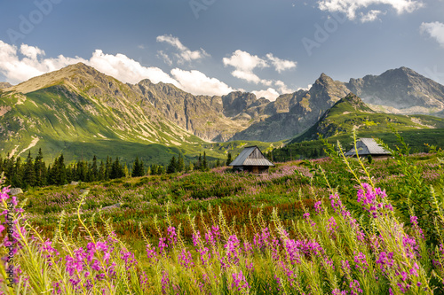 Polish Tatra mountains Hala Gąsienicowa © kabat