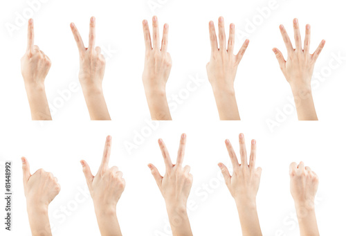 Set female hands gestures making a numbers