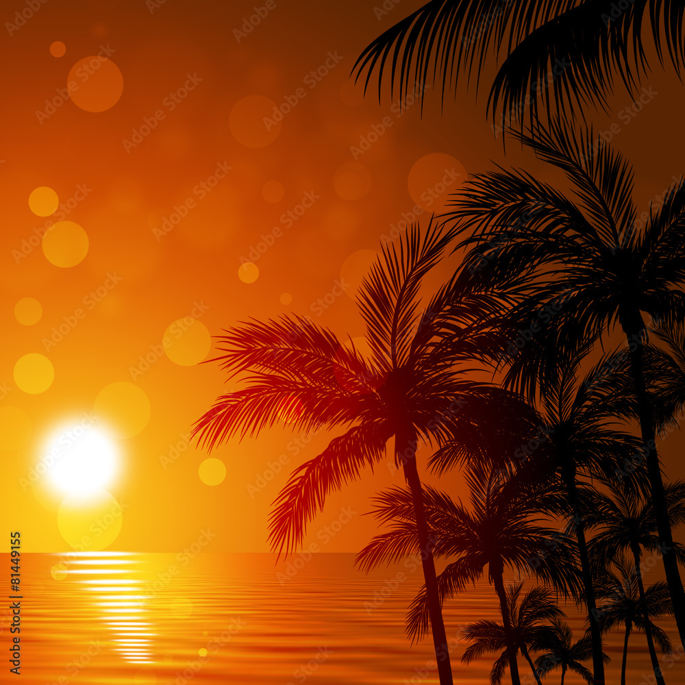 Tropical Ocean Palms