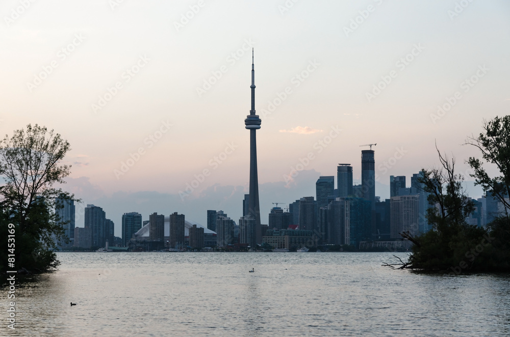 Fototapeta premium Toronto skyline