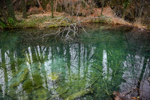 Small Pond at Plitvice lakes national park