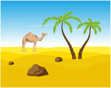 Camel and palms in the Desert, oasis