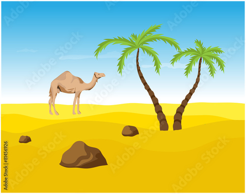 Camel and palms in the Desert, oasis