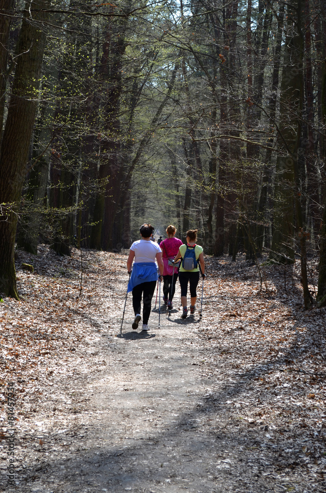 Obraz premium Nordic walking