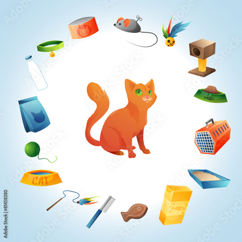 Cat stuff concept