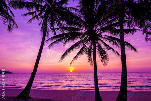 Palm trees silhouette at sunset © EwaStudio